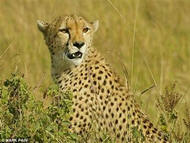 Smile Holidays 2025 10