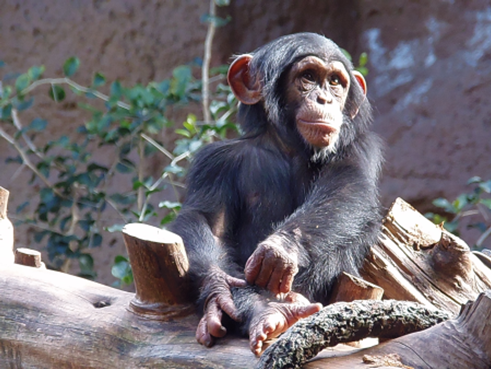 Derbyshire Holidays from Smile Holidays 2026 